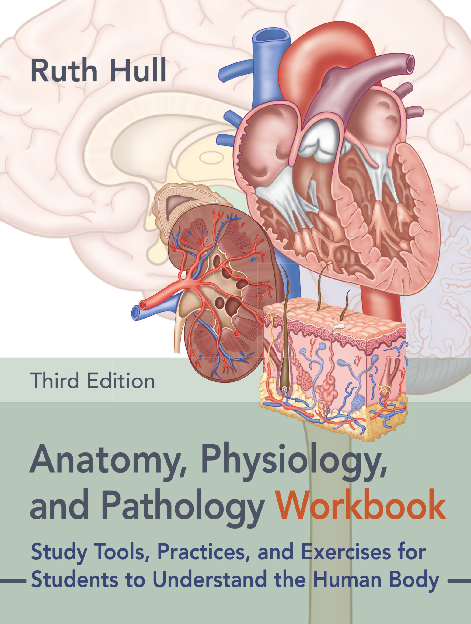 Anatomy physiology and pathology workbook third edition north